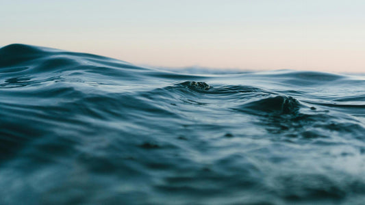 Must-Watch Ocean Documentaries 🌊
